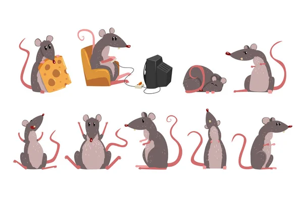 Leuke grijze muis set, grappig knaagdier karakter in verschillende situaties vector illustraties — Stockvector