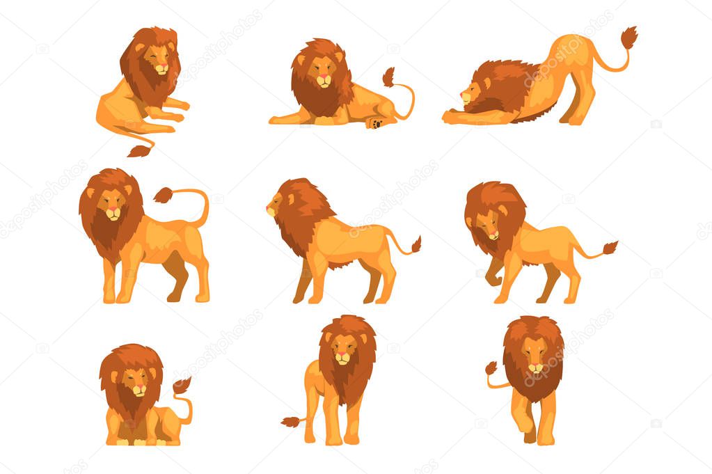 Proud powerful lion character in different actions set of cartoon vector Illustrations isolated on a white background.