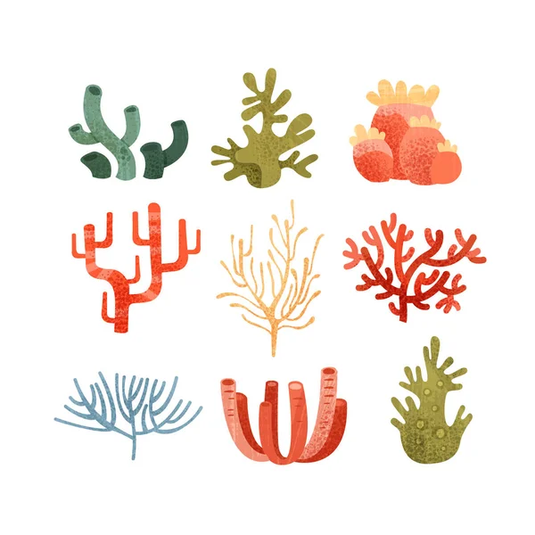 Hínár készlet, színes víz alatti tengeri növények vektor illusztrációk egy fehér háttér — Stock Vector