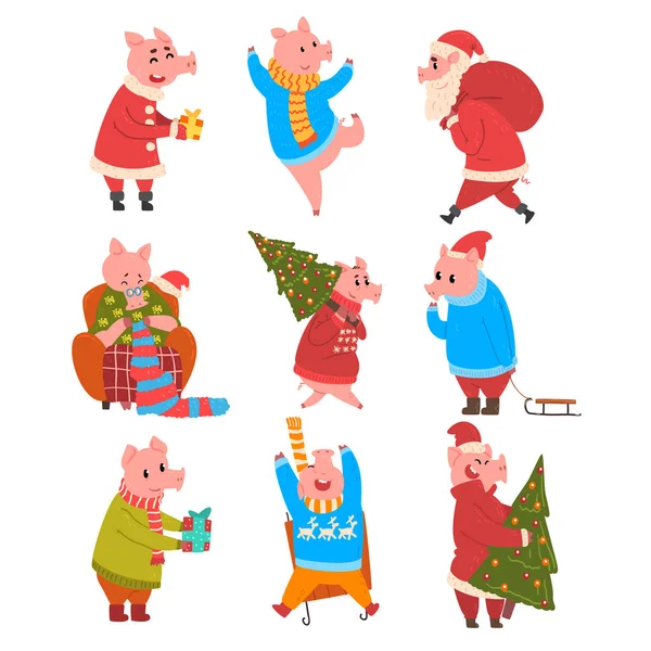 Lindos cerdos celebrando Año Nuevo conjunto, divertidos personajes de cerdito en diferentes situaciones, símbolo chino de Año Nuevo, elementos de diseño para la tarjeta de Navidad, calendario, vector de invitación Ilustración — Vector de stock