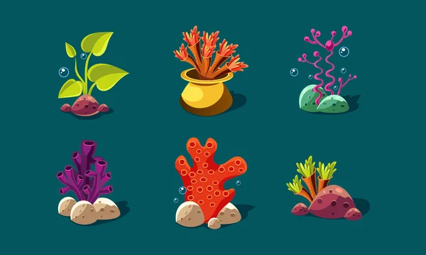 Hínár, korallok és a víz alatti növények beállítása, színes fantasy növények, felhasználói felület eszközök részére mozgatható apps és videojátékok részletek vektoros illusztráció — Stock Vector