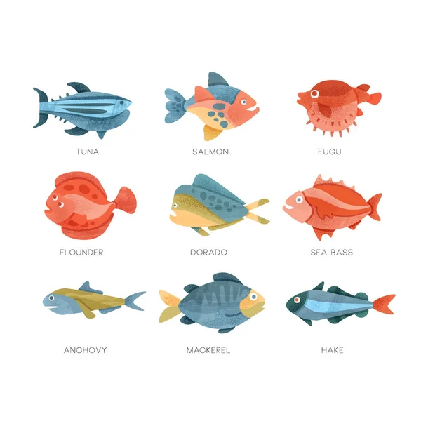 Zeevis ingesteld, tonijn, zalm, fugu, flounder, dorado, zeebaars, ansjovis, makreel, heek vector illustraties op een witte achtergrond — Stockvector