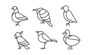 Vektör Lineer tarzda kuşların ayarlayın. Güvercin, serçe, kartal, papağan, ördek ve colibri