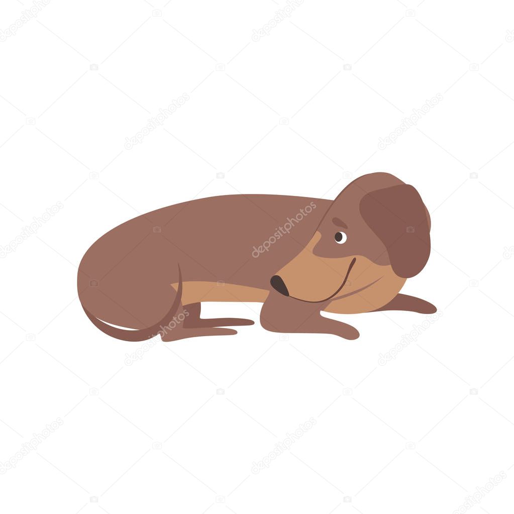 TopVectors