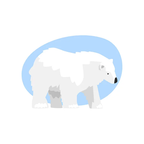 Белый арктический вектор медведя Иллюстрация на белом фоне — стоковый вектор