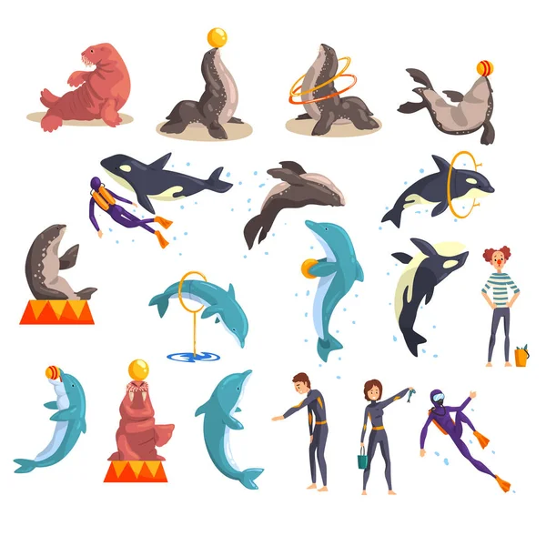 Oceanarium eller delfinariet, havslevande djur och utbildare utföra offentligt i delfinariet vektor Illustration på vit bakgrund — Stock vektor