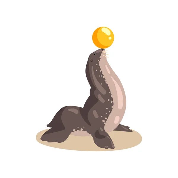 Γούνα φώκιας ζώο εκτέλεση με σφαίρα στο Δελφινάριο διανυσματικά εικονογράφηση σε λευκό φόντο — Διανυσματικό Αρχείο