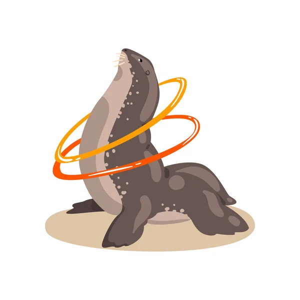 Γούνα φώκιας συστροφή χούλα τελάρου, ζώα της θάλασσας που εκτελούν δημόσια στο Δελφινάριο διανυσματικά εικονογράφηση σε λευκό φόντο — Διανυσματικό Αρχείο