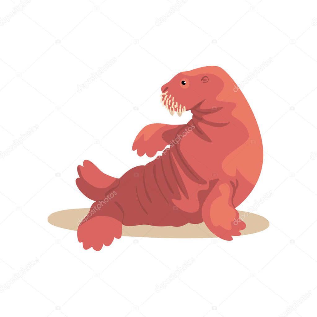 Sea lion performing in public in dolphinarium vector Illustration on a white background