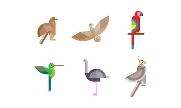 Ensemble d'oiseaux, aigle, faucon, colibri, autruche, perroquet, oiseau quezal, polygonal coloré low poly géométrique motif vecteur Illustrations sur fond blanc — Image vectorielle