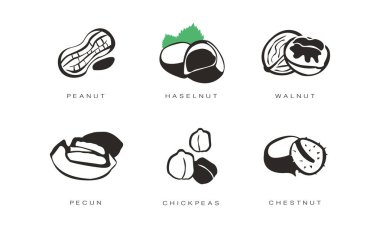 Deli ve tohum Icons set, fıstık, fındık, ceviz, cevizli, nohut, beyaz bir arka plan üzerinde kestane tek renkli vektör çizim