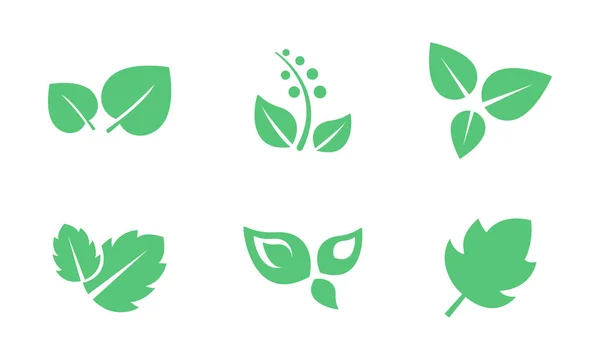 Folhas verdes conjunto, folha de árvores e plantas vetor Ilustração sobre um fundo branco — Vetor de Stock