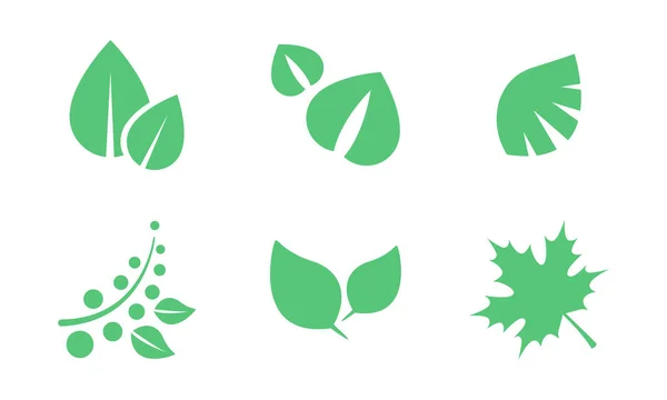 緑の葉セット、白の背景に様々 な形状の植物最後の木の部分ベクトル イラスト — ストックベクタ