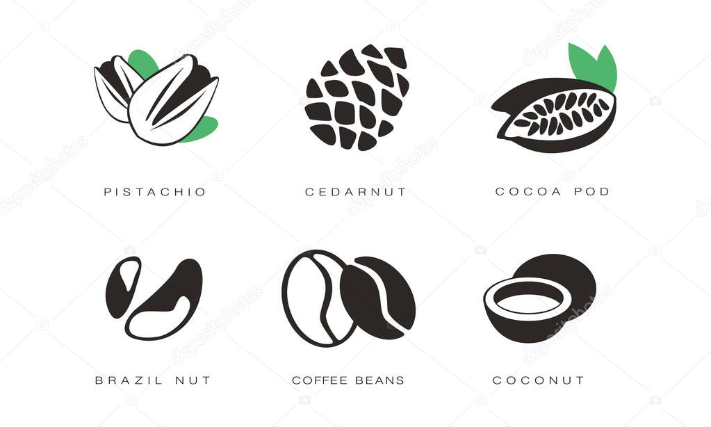 Nuts and seeds icons set, pistachio, cedar nut, cocoa pod, brazil, coffee beans, coconut monochrome vector Illustration isolated on a white background.