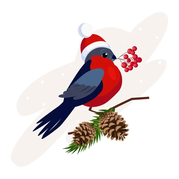 Bullfinch wearing a Hat holding berries on Branch with Cones. Vector — Stock Vector