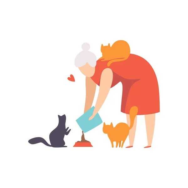Idős nő őt macskák, imádnivaló háziállat és a tulajdonos vektoros illusztráció egy fehér háttér — Stock Vector