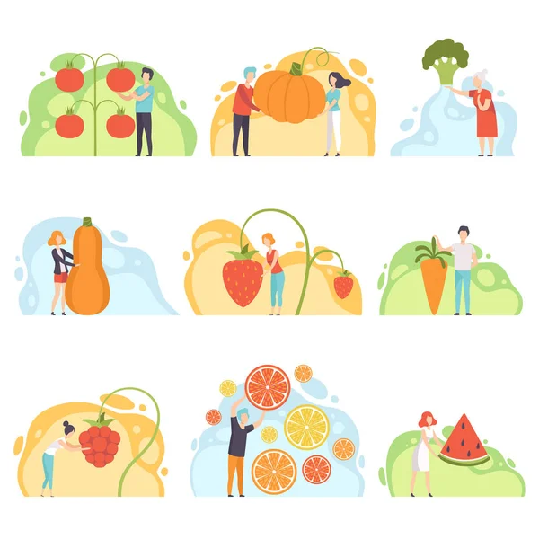 Ensemble de légumes géants, homme et femme sans visage debout à côté d'énormes légumes et baies vecteur Illustration sur fond blanc — Image vectorielle