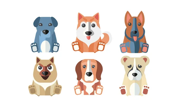 Lindos perros de diferentes razas conjunto, animales de dibujos animados mascotas vector Ilustración sobre un fondo blanco — Vector de stock