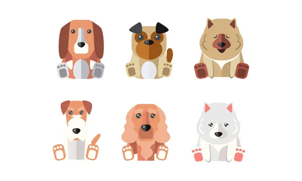 Colección de perros de diferentes razas, animales de dibujos animados mascotas vector Ilustración sobre un fondo blanco — Vector de stock