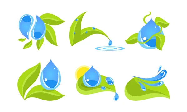 Green leaves and water drops set, ecology concept vector Illustration isolated on a white background — Stock Vector