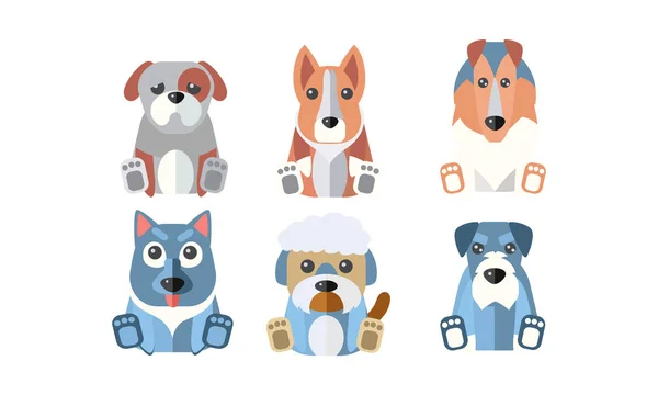 Perros de diferentes razas conjunto, animales de dibujos animados lindo vector mascotas Ilustración sobre un fondo blanco — Archivo Imágenes Vectoriales