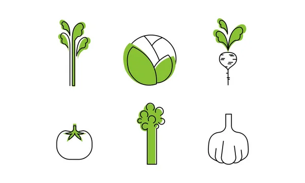 Verse groenten lijn iconen set, kool, groen, radijs, tomaat, knoflook, broccoli, asperges, biologisch gezond voedsel vector illustratie op een witte achtergrond — Stockvector