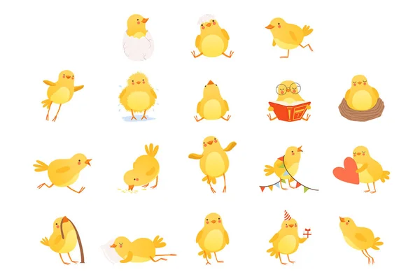 Conjunto de divertido pollo amarillo en varias situaciones. Personaje de dibujos animados de pajarito. Diseño vectorial plano aislado para postal, pegatina o libro infantil — Archivo Imágenes Vectoriales