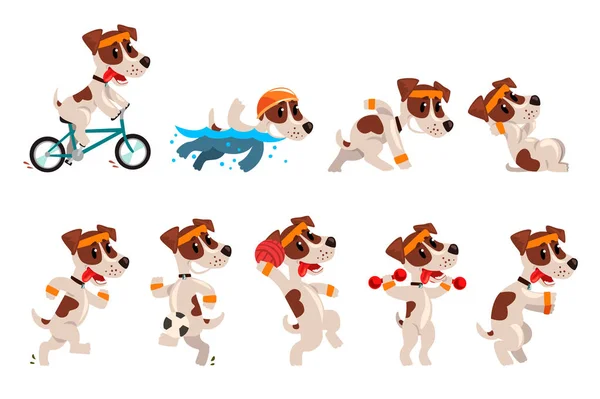 Bonito desportivo jack russell terrier set, engraçado cão de estimação personagem fazendo vários tipos de esportes vetor Ilustrações —  Vetores de Stock
