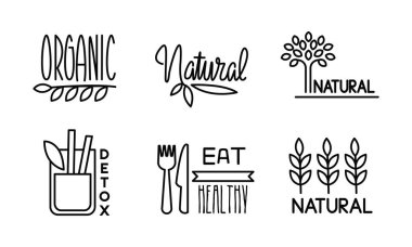 Doğal, detoks, organik doğrusal logo koymak, sağlıklı organik vegan gıda etiketleri, Restoran, kafe bagges, biyolojik ürünler üzerinde beyaz bir arka plan illüstrasyon vektör