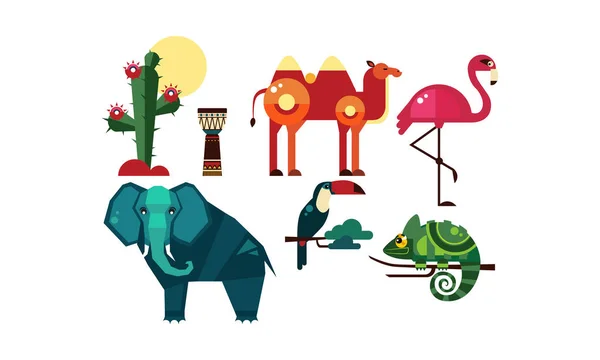 Ensemble d'animaux sauvages africains, cactus, éléments de la nature et de la culture de l'Afrique, chameau, tambour tribal, flamant rose, toucan, vecteur caméléon Illustration sur fond blanc — Image vectorielle