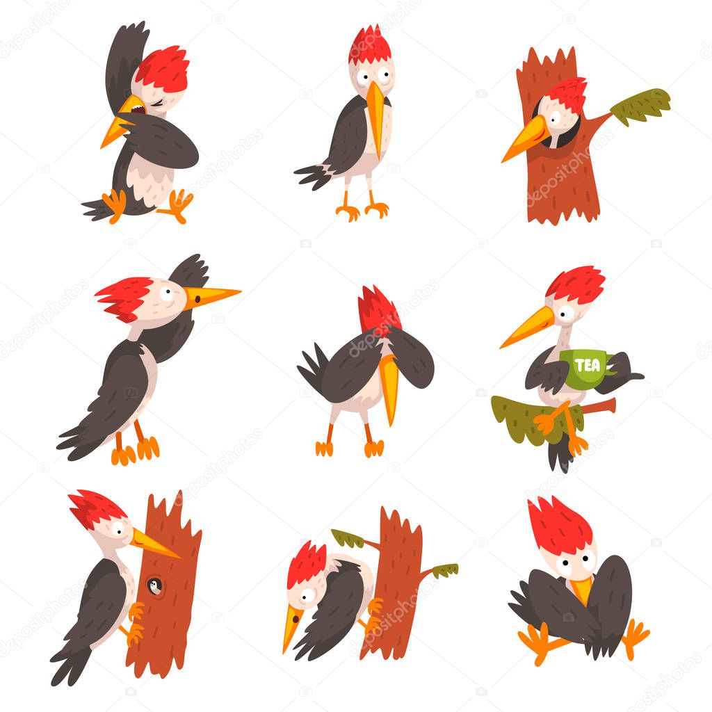 Cute woodpecker set, funny bird cartoon character in different situations vector Illustration on a white background