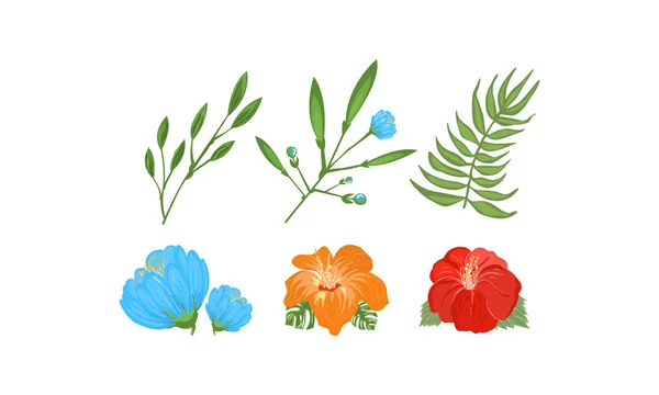 Tropical folhas exóticas e coleção de flores, elementos de design para convite, cartões de saudação, spa, produtos de beleza vetor Ilustração — Vetor de Stock