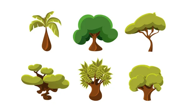 Plochá vektorové sada 6 zelených stromů. Objekty z tropických pralesů. Přírodní krajiny prvků pro mobilní nebo počítačová hra — Stockový vektor