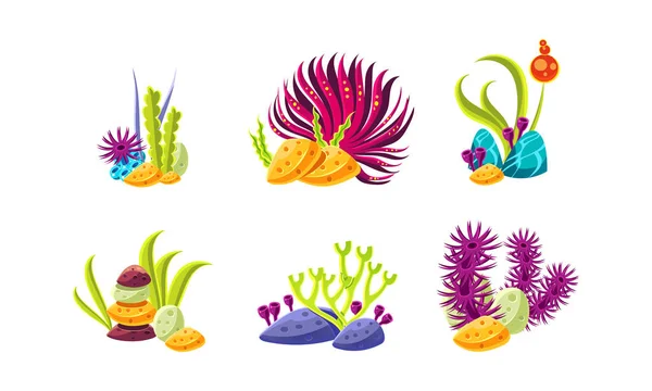 Set of compositions with various sea algae, corals and stones. Aquarium decor. Flat vector for mobile game — Stock Vector