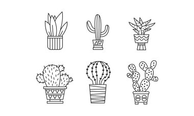 Kaktüsler ve succulents, tencere, houseplants koleksiyonu doğrusal botanik tasarım öğeleri üzerinde beyaz bir arka plan illüstrasyon vektör