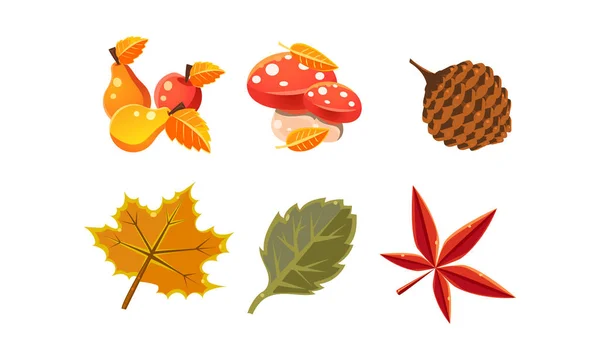 Collection of bright colorful autumn leaves and plants, autumn nature design elements vector Illustration on a white background — Stock Vector