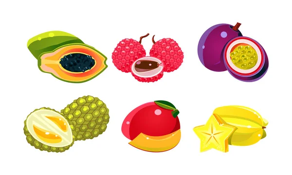 Set de frutas tropicales frescas, papaya, lichi, crisófilo, carambola, durian, vector de mango Ilustración sobre fondo blanco — Vector de stock