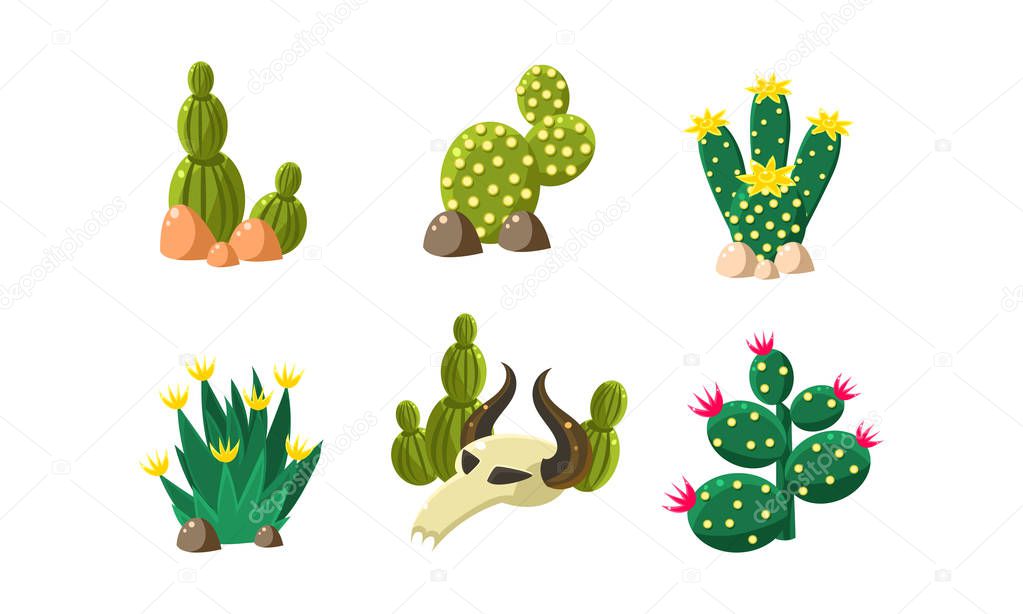 Cactuses and buffalo skull set, design elements of desert landscape, wild west objects vector Illustration isolated on a white background.