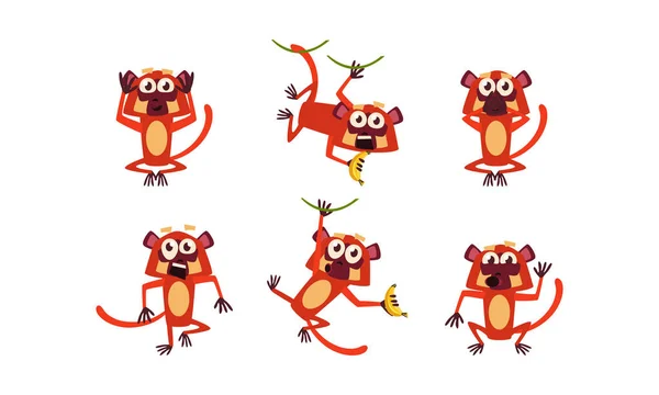 Set vettore piatto di lemure bruno con varie emozioni. Scimmia in pose diverse. Animali selvatici. Personaggio cartone animato divertente — Vettoriale Stock