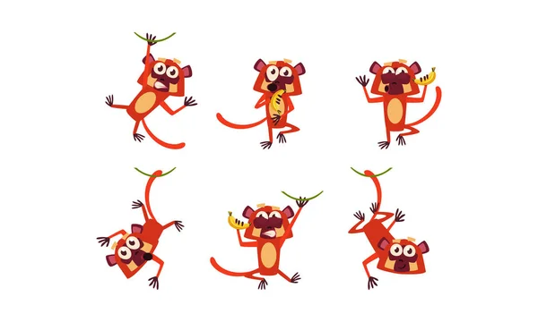 Plochá vektorové sada funny hnědé lemur v různých akcích. Volně žijící opice s různými emocemi — Stockový vektor