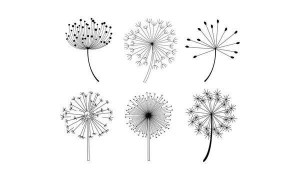 Conjunto vectorial de flores de diente de león con semillas esponjosas. Elementos decorativos naturales en estilo lineal — Archivo Imágenes Vectoriales