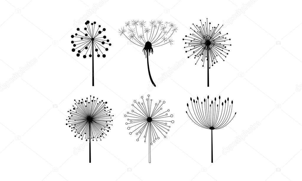 Vector set of 6 linear dandelion flowers with fluffy seeds. Floral theme. Decorative elements for postcard or notebook