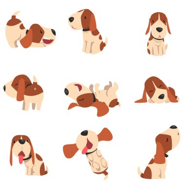Şirin beagle köpek çeşitli pozlar küme, komik hayvan karikatür karakter vektör çizim beyaz bir arka plan