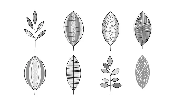 Vektor-Set monochromer, handgezeichneter Blätter. Natürliche dekorative Elemente im linearen Stil — Stockvektor