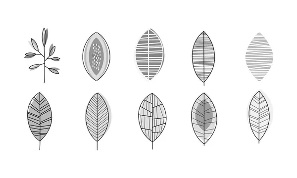Vector uppsättning monokrom lämnar i linjär stil. Botaniskt tema. Dekorativa element för gratulationskort eller textil — Stock vektor