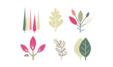 Farklı renkli ayarla düz vektör yaprak. Doğal Dekor elementleri. Botanik Tema.