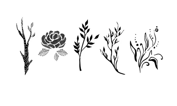 Träd grenar, blommor och växter set, svartvita botaniska designelement vektorgrafik Illustration på vit bakgrund — Stock vektor