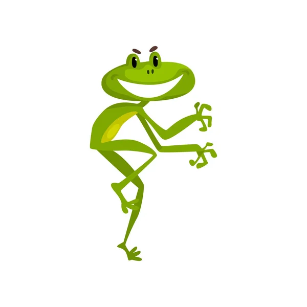 Pequeña rana divertida, lindo verde amfibio animal de dibujos animados personaje vector Ilustración sobre un fondo blanco — Vector de stock