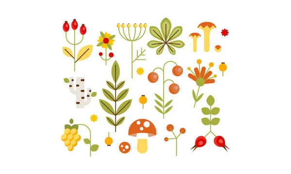 Coleção de elementos de design florestal, ervas, cogumelos, bagas, folhas de árvores, vetor de flores Ilustração — Vetor de Stock