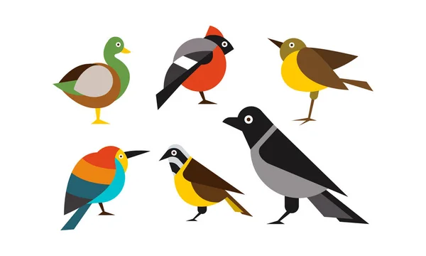 Ptáci, sada, kachna, Hýl, vrabec, tit, Vrána, květiny na parapetu vektorové ilustrace — Stockový vektor
